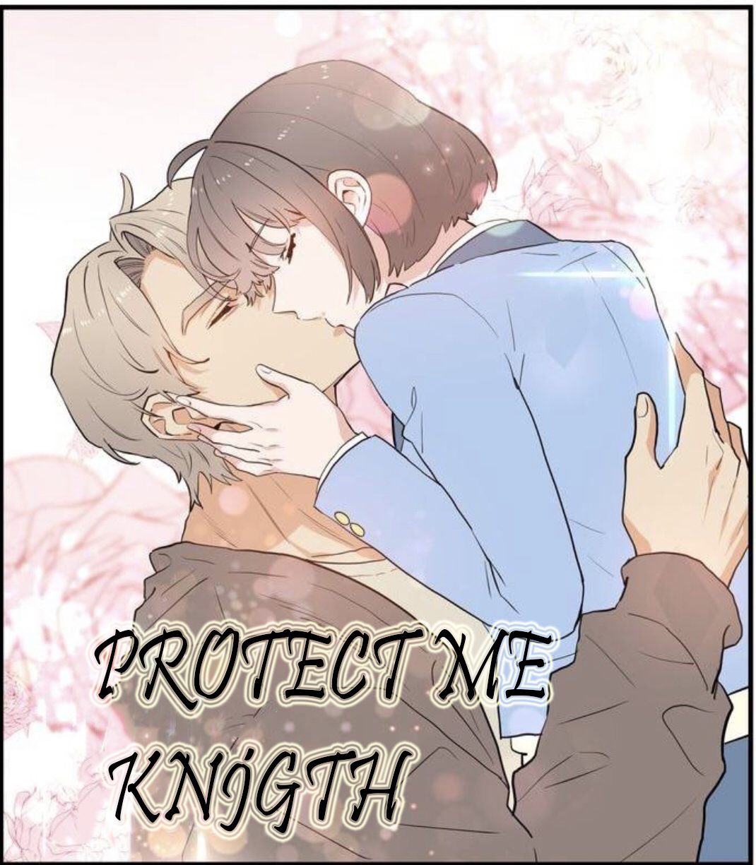 protect-me-knight-image
